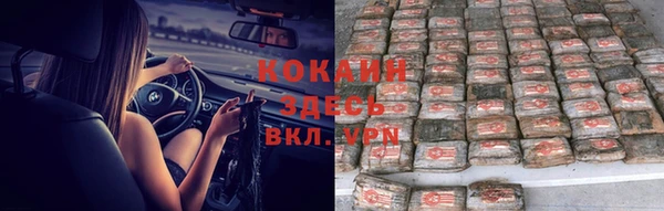 стаф Абинск