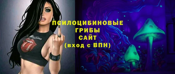 стаф Абинск