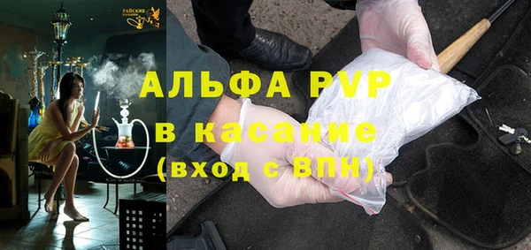 стаф Абинск