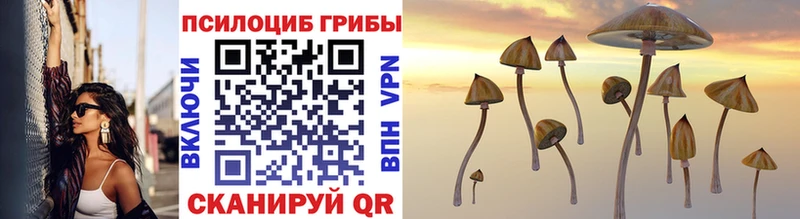 Галлюциногенные грибы GOLDEN TEACHER  где найти   Власиха 